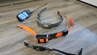 GPS Dog collar reviews