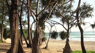 beach no copyright Stock Video FREE Footage