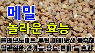 [메밀 효능] "메밀의 특별한 매력: 혈당 조절과 소화 개선의 비밀"