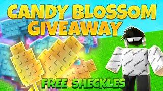 LIVE | GROW A GARDEN | CANDY BLOSSOM GIVEAWAY !! | 6000B SHECKLES !!