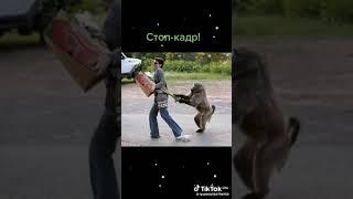 Мелочи жизни,иной раз приятные моменты...