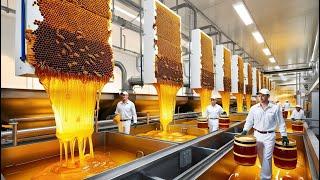 How Honey is Made In Factory | Honey Factory Process