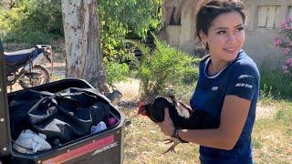 [#156] Como LLEVAR una GALLINA en la moto - TURQUIA-Vuelta al mundo en moto