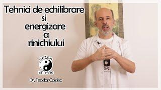 Tehnici de echilibrare si energizare a rinichiului- Dr. Teodor Coldea