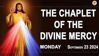 Chaplet of the Divine Mercy I Monday September 23 2024 I Divine Mercy Prayer I 12.00 PM