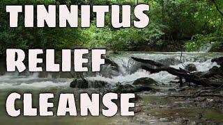 Tinnitus Relief For Sleep 12 Hours - Tinnitus Sound Therapy