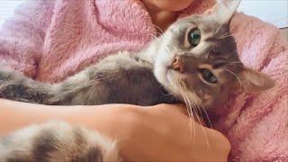 Rescue Cat Falls In Love With His New People Who Can't Stop Hugging Him