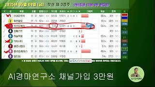 25년 5월 9일 금요일 AI경마연구소 우승예상마