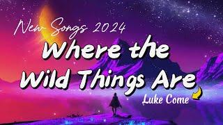 Where the Wild Things Are - Luke Combs  (Lyrics) | Oh, it's hearts on fire and crazy dreams..