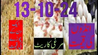 13-10-2024 broiler rate| Today egg rate |Today chicks price|Today poultry rate| today chicken rate