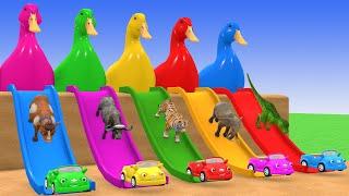 5 Giant Duck Game,Super Mario ,Tiger, Cow,Lion,Paint Wild Animals Crossing Fountain Animation