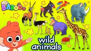 Learn Wild Animals For Kids | Wild Zoo Animals Names and Sounds for Children | Club Baboo