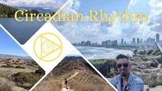 Circadian Rhythm Tips to Quickly Improve Sleep and Energy