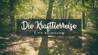 Finde dein KRAFTTIER - Eine Anleitung für die SCHAMANISCHE REISE