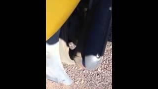 原付発動動画を作ってみた。