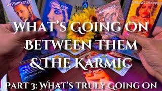 They Dont Love The Karmic, They Love The Benefits. Karmic Is Intimidated Bc They Argue About You