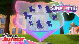 Fireworks Bandit Chase  | SuperKitties ⭐ | Disney Junior MENA