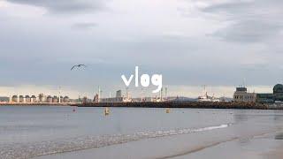 쫀헨지 vlog | 일상브이로그 | 포항 여름여행 | 배추전,아보카도 명란덮밥,김밥 만들기 | CU편의점 셀프계산하기