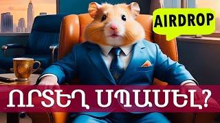 Hamster Kombat-ի մասին