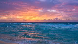 Calvary Chapel Gulf Coast Live Stream