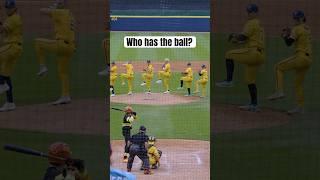 Hidden Ball Trick Pitch | Banana Ball #shorts#savannahbananas#trick#trickshot#bananas#mlb#sportsball