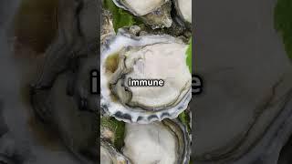 What are the benefits of eating oysters?