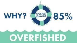 Food Lion - Seafood Sustainability Program