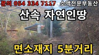 (NO.619) 영천땅 영천부동산   산속 자연인땅 면소재지 5분거리  매매가 6700만원  땅사모TV