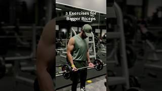 3 Exercises for Bigger Biceps!  Subscribe for more workout tips! ​#gym #fitness #bodybuilding