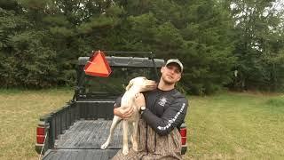 Pro Staff, Kenneth Corder, talks about how to raise a puppy to be your hunting partner.