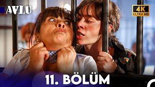 Avlu 11. Bölüm (4K)