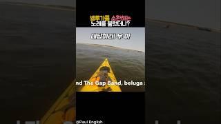 벨루가를 소환하는 노래를 불렀더니? #동물 #벨루가