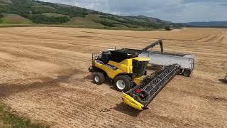 Pea Harvest 2024 Qu'Appelle Valley Saskatchewan Canada