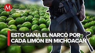 En Michoacán asedio de "Los Viagra" obliga a limoneros a detener producción