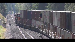 Double Meet with Stack Trains and Vehicle Trains on BNSF's Kootenai River Sub