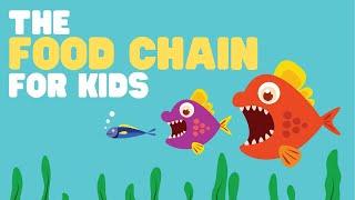 The Food Chain for Kids | What is a food chain? |  Come learn about producers, consumers and more!