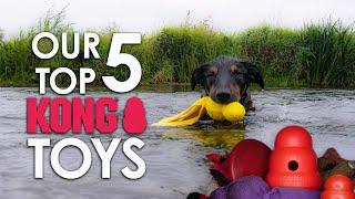 Our Top 5 Kong dog toys and how we use them - best dog toys | RL Dog Training