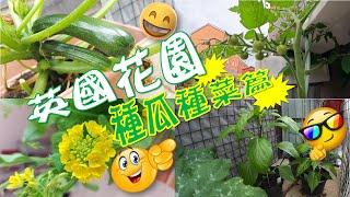 英國後花園之「種瓜種菜」篇