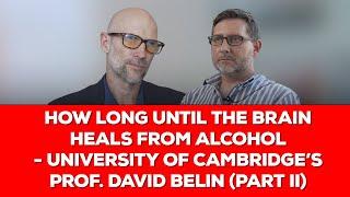 How Long Until the Brain Heals from Alcohol - University of Cambridge’s Prof. David Belin (Part II)