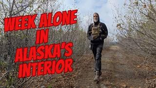 Alone in the Alaska Range for 7 Days | A Wildlife Photographer’s Journey + Bear Safety Tips!!  Pt. 1