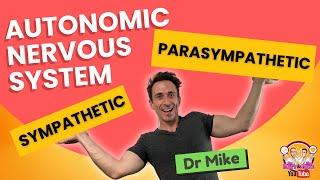 Autonomic Nervous System (Sympathetic & Parasympathetic) - Overview