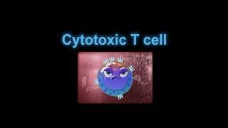 Supercytes cartoon - Cytotoxic T cell