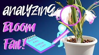 EPIC Bloom FAIL | Cattleya Moscombe first time bloomer / non bloomer! Why? Screenshot list included