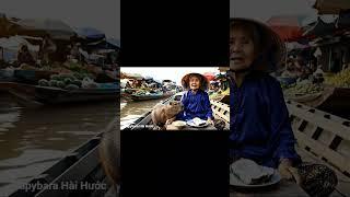 #capybara #funny #dongvat #memes #trendingshorts #giaitri #trending #cute #ytshorts #haihuoc
