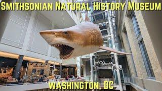 Smithsonian Natural History Museum Tour - Washington, DC