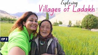 Village Life in Ladakh is Pure Gold | Saspol Village | Ladakh Travel 2024 | Ep 2 | DesiGirlTraveller