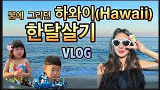 미국일상Vlog]하와이 한달살기 왔어요 와이키키까지 도보 가능한 숙소/마트장보기/1일1waikiki beach/여행브이로그/알라모아나비치 일출보기