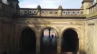 Guitar player in Central Park 2020 NYC