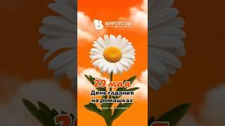 29 мая - день гадания на ромашках 