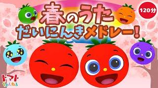 【赤ちゃん泣き止む】だいにんき！春のうた 2時間メドレー | Eテレ おかあさんといっしょ | みぃつけた！| トマトちゃんねる | 赤ちゃん喜ぶ japanese kids song